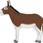 mule